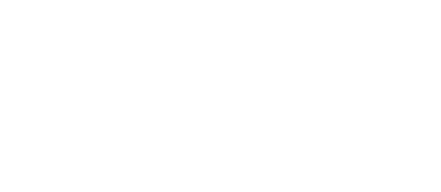 IEEE SoCal Council